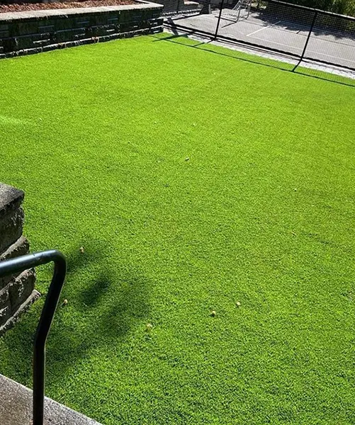 Synthetic Grass Installation in Lynnwood 